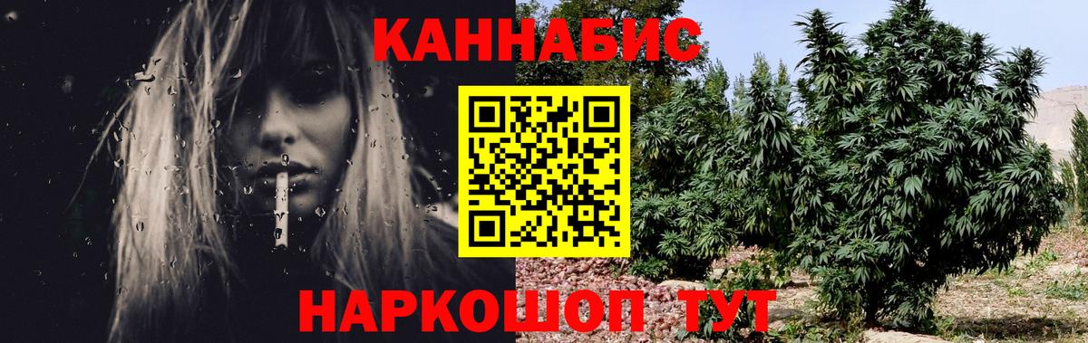 Бошки Шишки SATIVA & INDICA Дубна